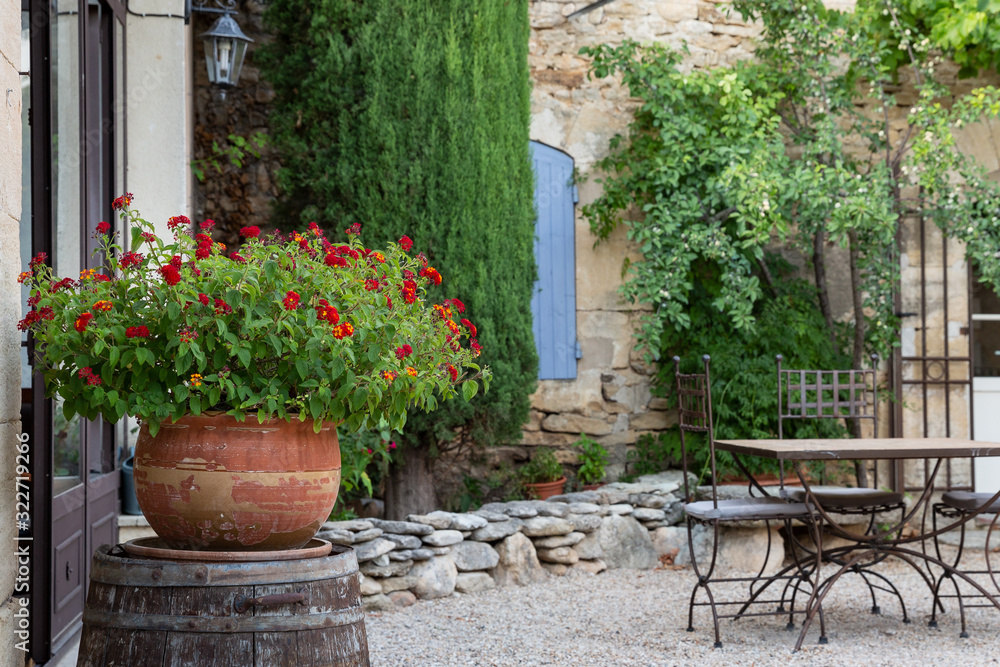 A terracotta pot with a beautiful plant with red flowers in the courtyard of a house in Provence, France