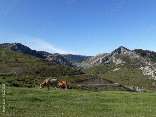 Lagos de Covadonga