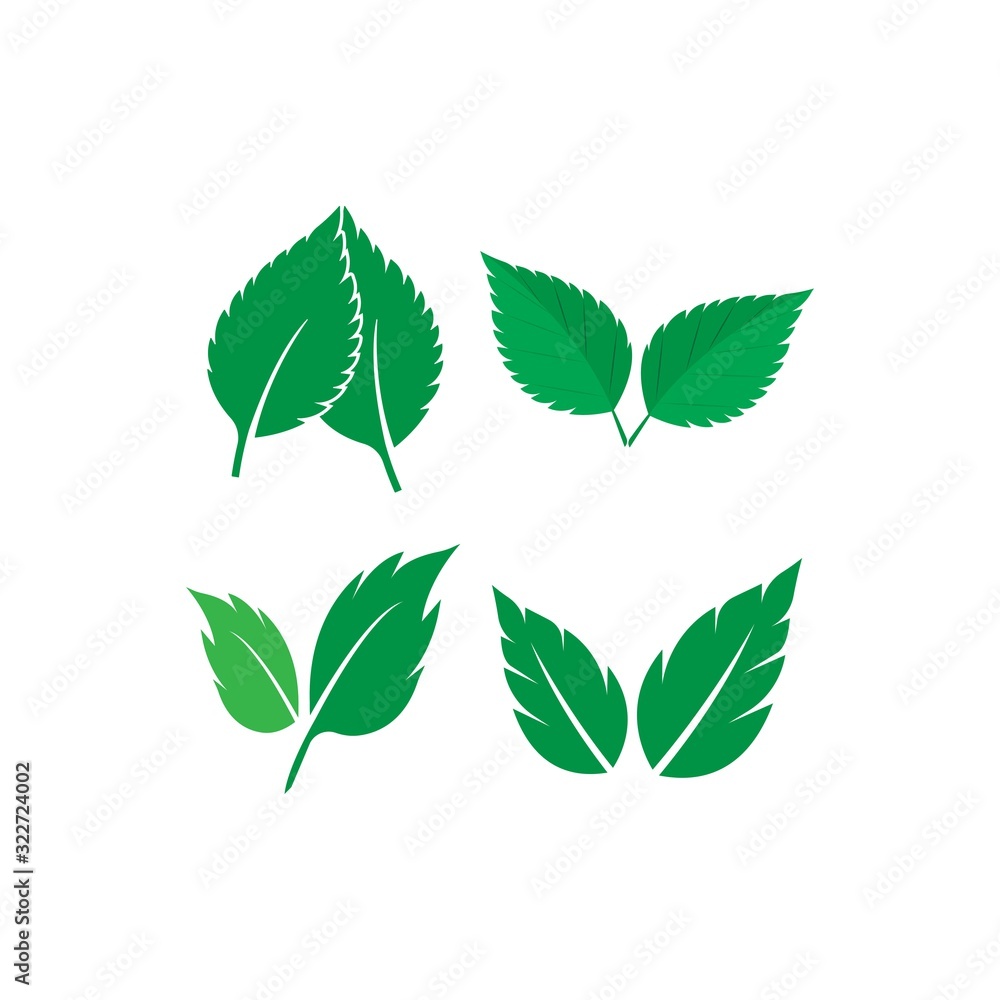 mint leaf logo mint leaf logo