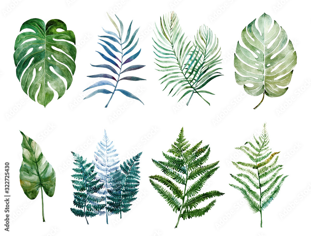 Beautiful watercolor tropical leaves painted on white paper