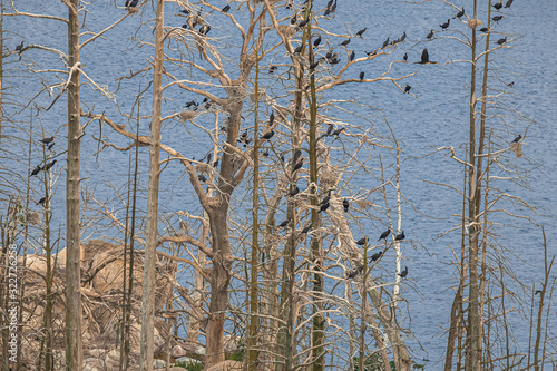 Bird Islands. Sweden sea coast landscape. Stylized photos with added noise