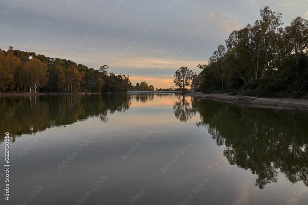 Sunset in a lake with eucalyptus trees with nice reflection in the water in Marbella Andalusia Spain
