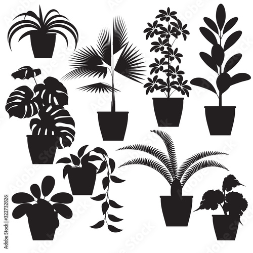 houseplant. black silhouette