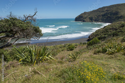 Bethells beach Auckland New Zealand Coast and beach. Te Henga photo