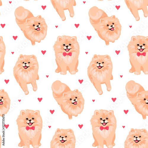 Pomeranian Spitz puppy seamless pattern. Small German spitz all over print background.