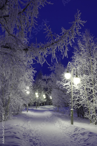 Lanterns and trees in the frost in the evening in the city Park in winter