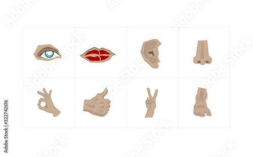 body parts vector