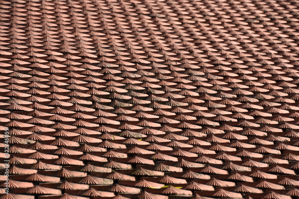 Dragon Scale Tile Roof Background Texture Dragon Scale Tile Roof Background Texture