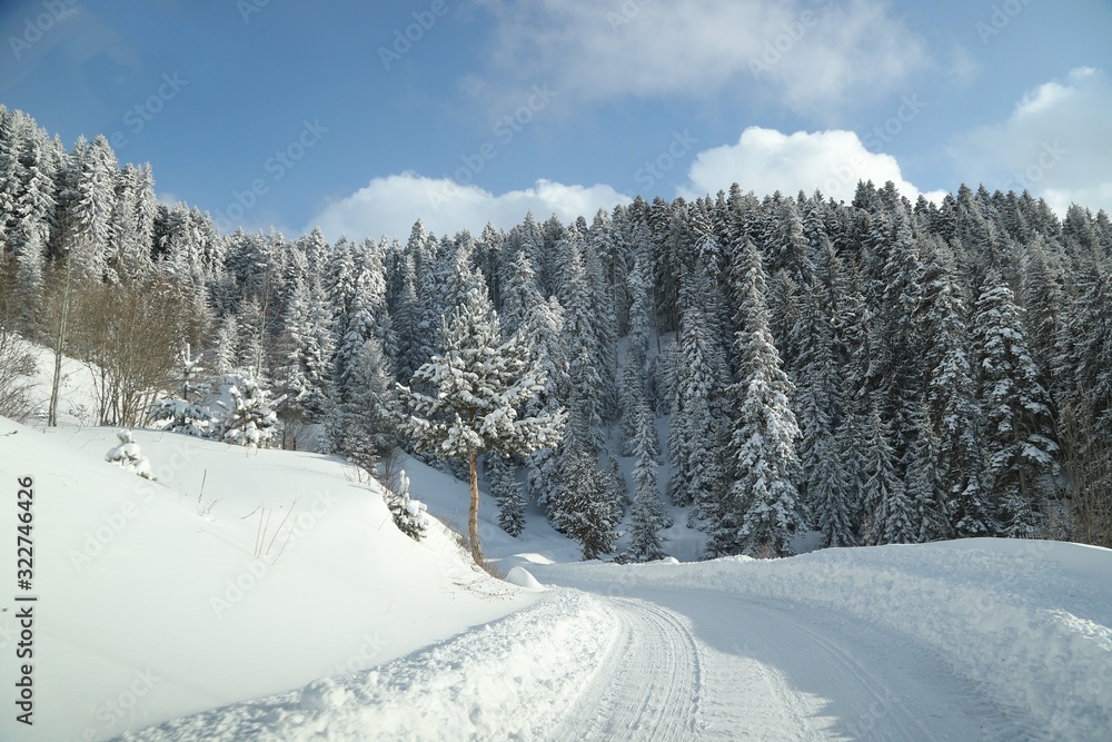 Obraz premium Winter view in a mountain forest covered with fresh snow. Christmas landscape