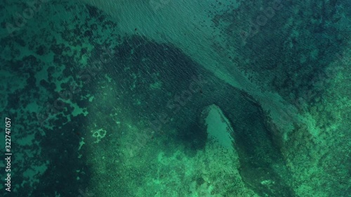 Wallpaper Mural Beautiful abstract sea texture with green patterns of coral reefs and white sand of sea bottom illuminated by the morning sunlight, Seychelles Torontodigital.ca