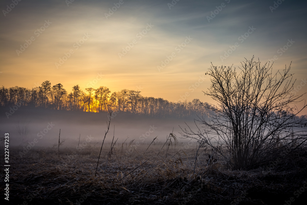 Fototapeta premium Sunrise on river