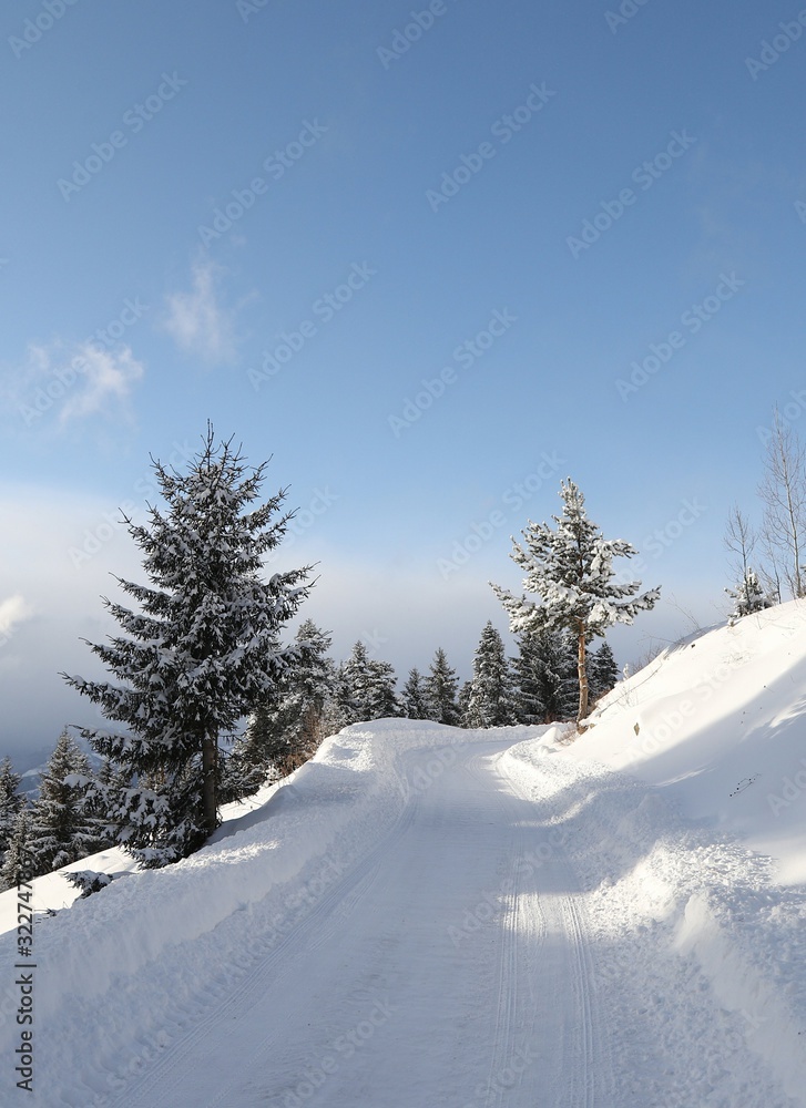 Winter view in a mountain forest covered with fresh snow. Christmas landscape Winter view in a mountain forest covered with fresh snow. Christmas landscape