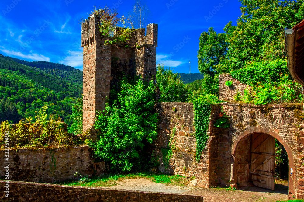 Obraz premium The ruins of an old German castle