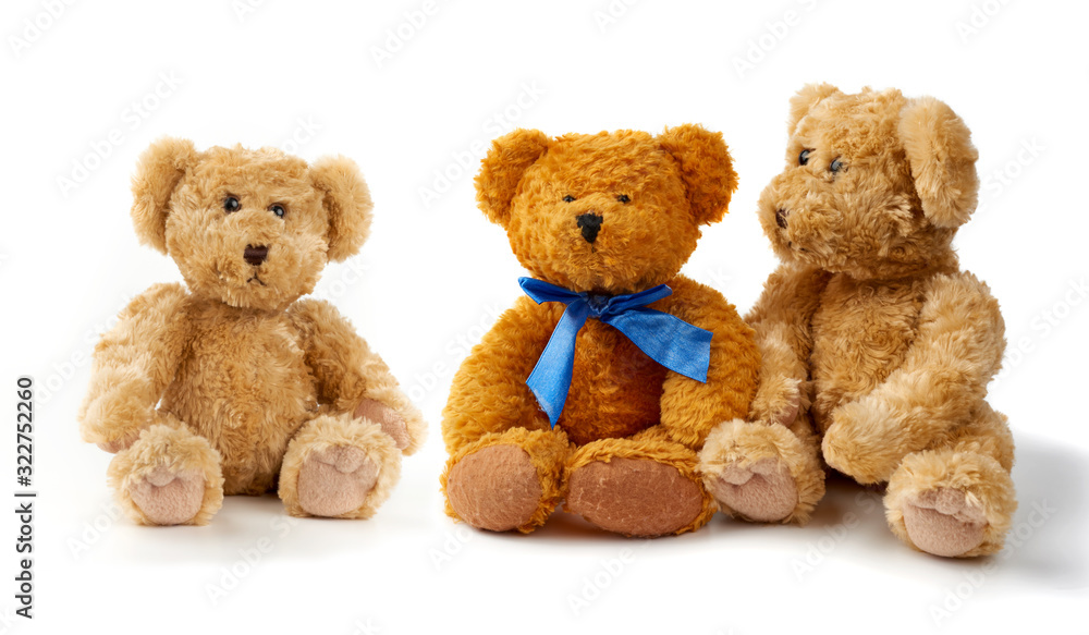 Fototapeta premium brown curly teddy bears sit on a white background