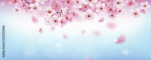 modern spring flowers on pastel color background