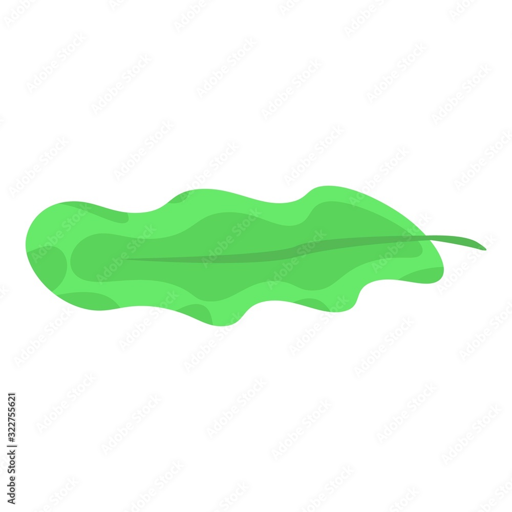 Salad leaf icon. Isometric of salad leaf vector icon for web design isolated on white background Salad leaf icon. Isometric of salad leaf vector icon for web design isolated on white background