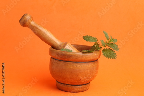 plant used for nettle medicine in color background