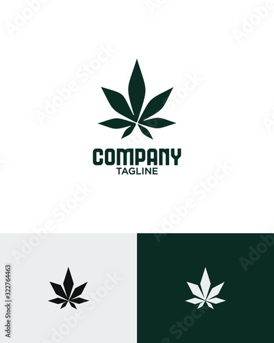 modern cannabis logo