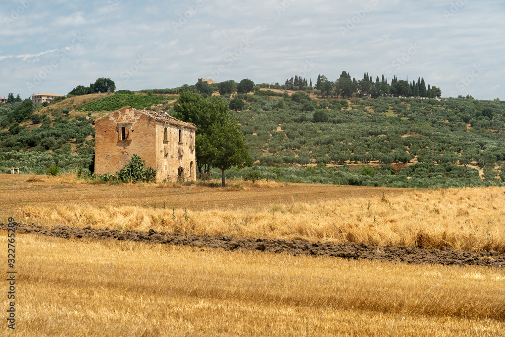 Rural landscape in Molise at summer Rural landscape in Molise at summer