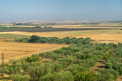 Rural landscape near Lucera, Apulia photo