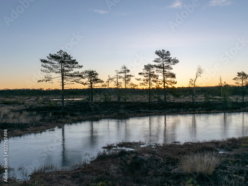 beautiful bog landscape at sunrise © ANDA