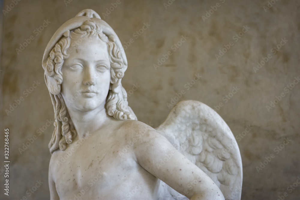 Fototapeta premium Skrzydło