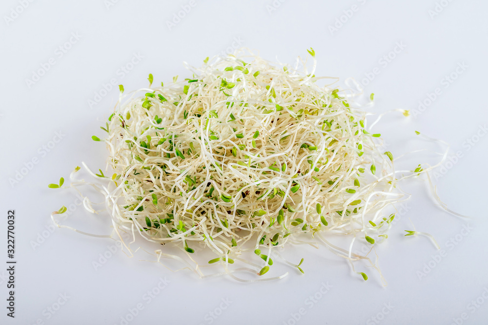Pile of fresh alfalfa sprouts on white background. Healthy diet superfood and micro green eating concept.