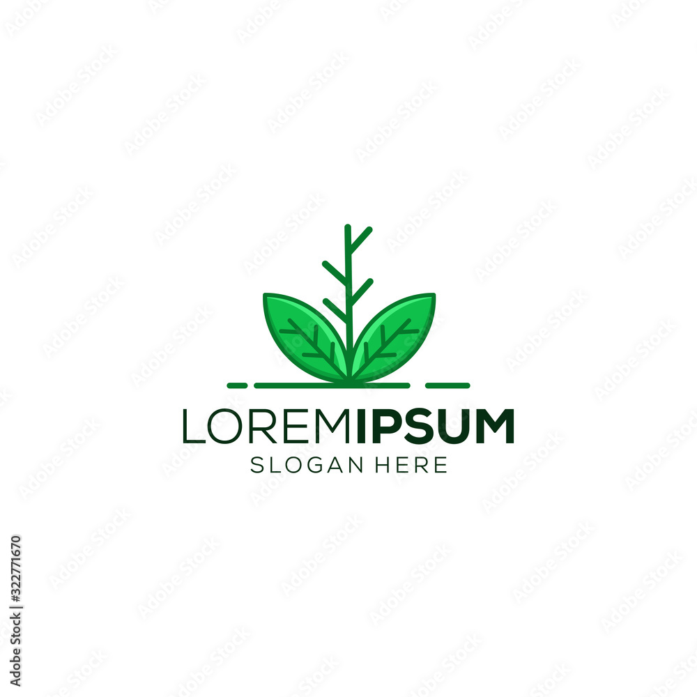 leaf logo design vector