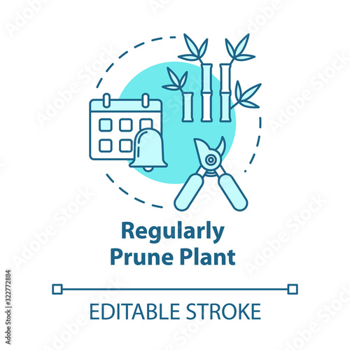 Regular prune plant concept icon. Cutting off dead branches or stems idea thin line illustration. Home potted flower caring. Vector isolated outline RGB color drawing. Editable stroke