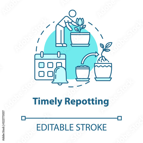 Timely repotting concept icon. Indoor flowers caring. Houseplants concern. Regular replanting herbs idea thin line illustration. Vector isolated outline RGB color drawing. Editable stroke