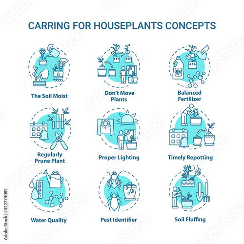 Houseplants caring concept icons set. Balanced fertilizer. Proper lighting. Home gardening idea thin line RGB color illustrations. Timely repotting. Vector isolated outline drawings. Editable stroke