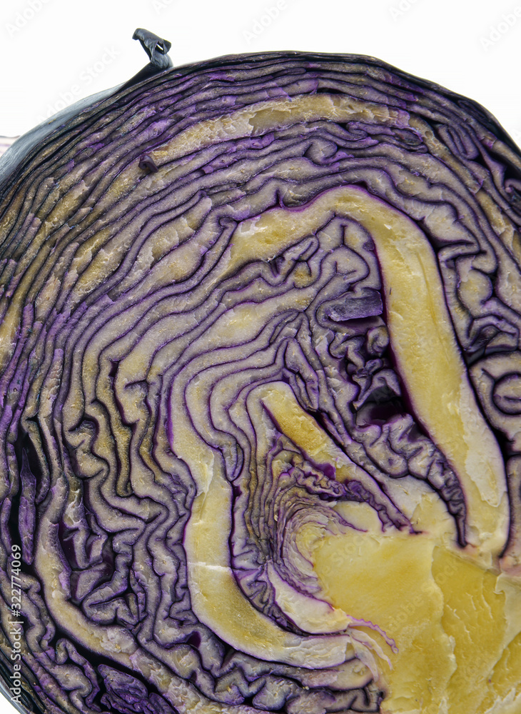 Obraz premium red cabbage on white background