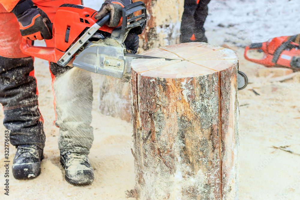 Men's hands with a chainsaw in their hands sawing a piece of wood into pieces Men's hands with a chainsaw in their hands sawing a piece of wood into pieces