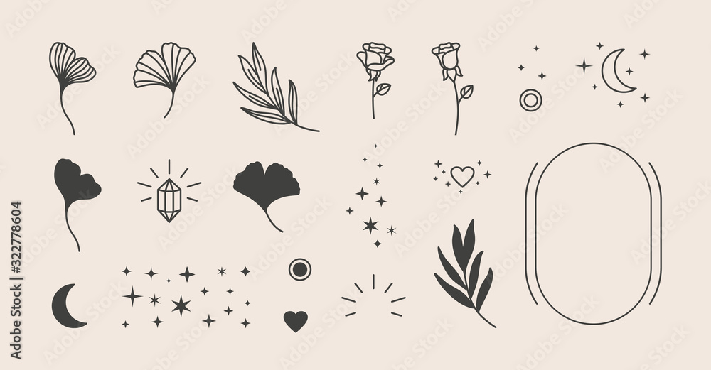 Elements for logo design - rose, Ginkgo Biloba Leaf, Stars, moon, Frame. Vector illustration in a minimal linear style - obrazy, fototapety, plakaty 
