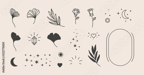 Elements for logo design - rose, Ginkgo Biloba Leaf, Stars, moon, Frame. Vector illustration in a minimal linear style