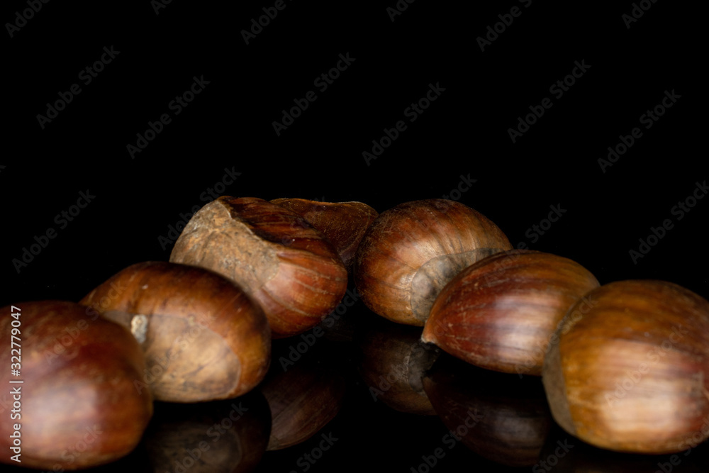 Group of seven whole ripe edible brown chestnut isolated on black glass