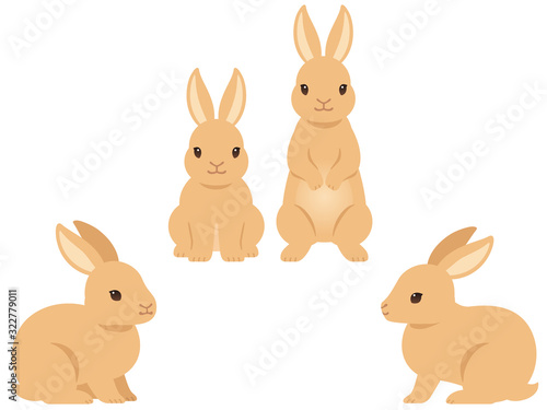 ウサギのイラストセット