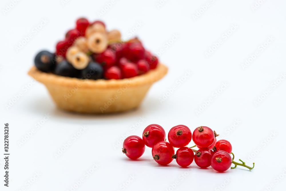 Red currant branch white background isolated Red currant branch white background isolated