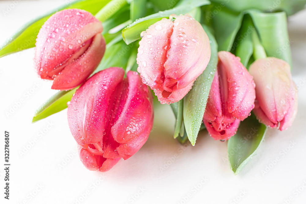 Fototapeta premium Red tulips on a light background. The concept of a holiday, celebration, women's day, spring. Flat lay, top view, copyspace. Background natural vibrant image, suitable for banner, postcard.