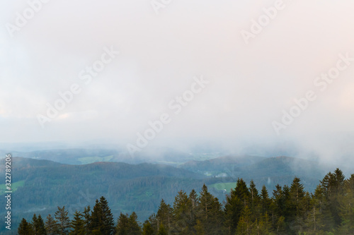 Morgennebel über Schwarzwaldlandschaft 