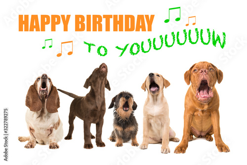 Group of dogs with various breeds looking up singing on a white background with the text Happy Birthday to you