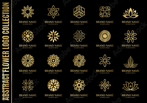 set of best abstract flower logo collections, perfect for company logo or branding.