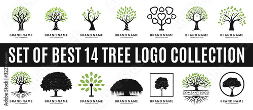 Fotografiet set of best tree logo collections, perfect for company logo or branding