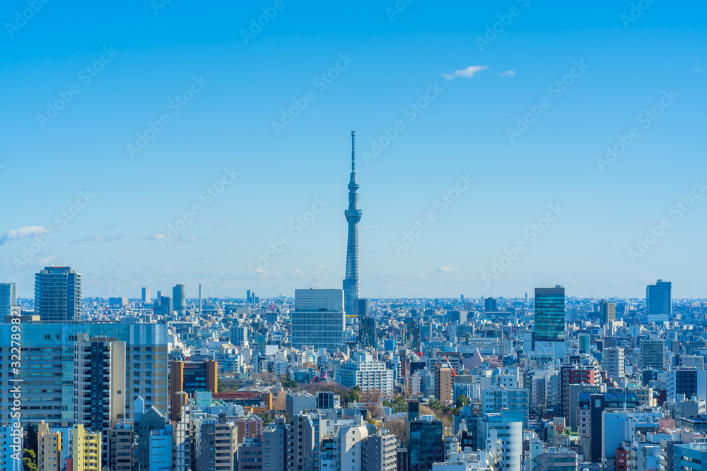 東京 文京区から見たスカイツリー Tokyo Skytree Symbol