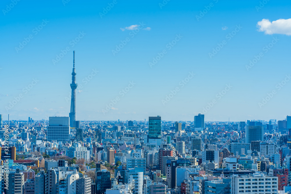 東京 文京区から見たスカイツリー Tokyo Skytree Symbol