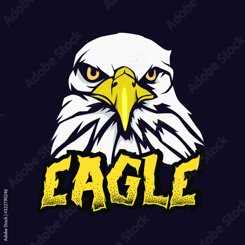 eagle head mascot logo design, esport logo for team_vector eps10