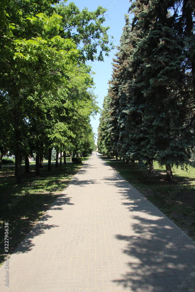 alley in park