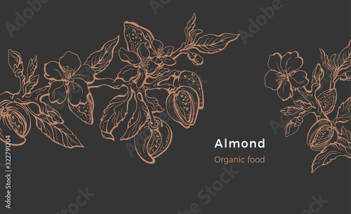 Fényképezés Almond template. Vector natural nut. Organic milk, oil