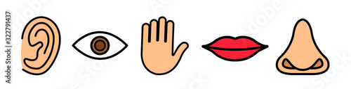 Five senses vector icons set. vision, hearing, touch, taste, smell