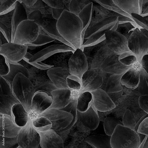 Black and white beautiful m...